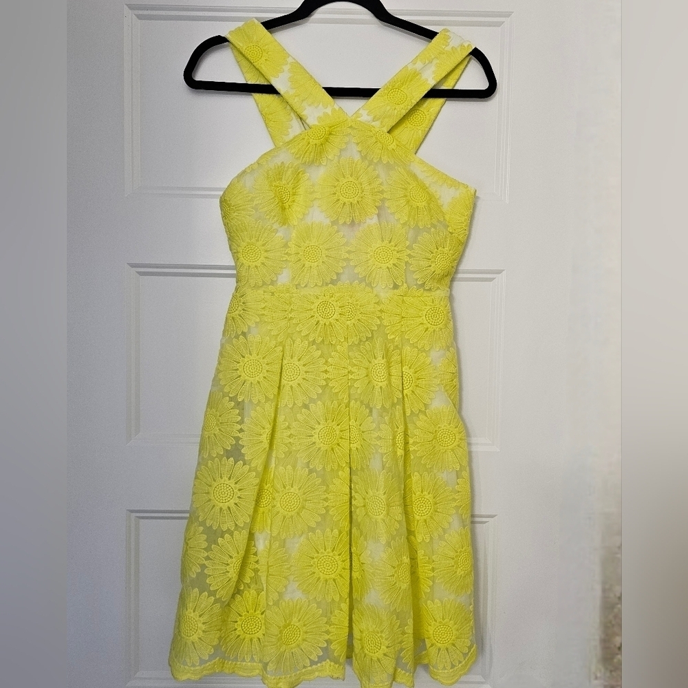 New Daniel Cremieux Women's "Natalie" Daisy Sleeveless Sundress sz 0 NWT